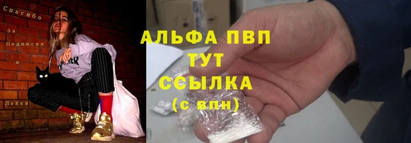 СК Вяземский