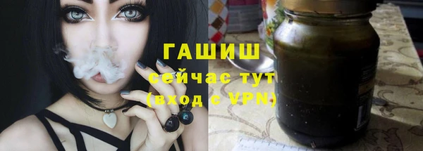 гашик Вязники