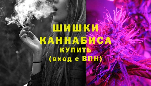 СК Вяземский