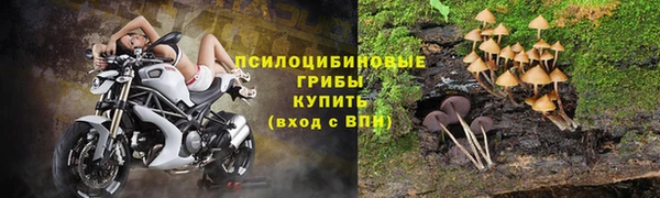 гашик Вязники