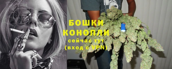 СК Вяземский