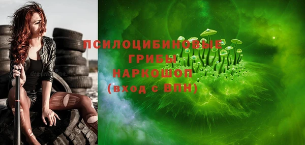 гашик Вязники