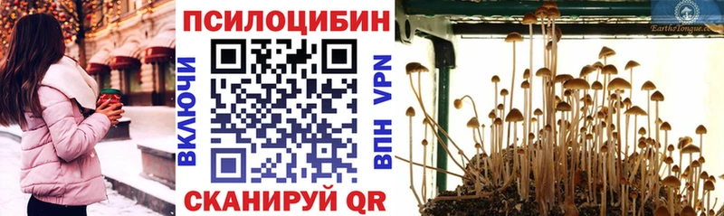 Галлюциногенные грибы ЛСД  Купить где  Тихвин 