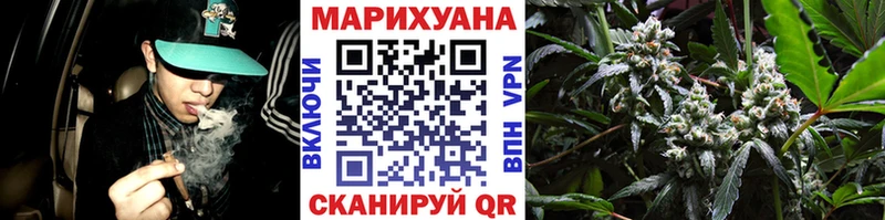 Купить закладки  Тихвин  Бошки марихуана конопля 